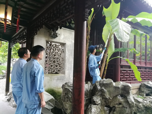 剪树枝-1（640）.jpg