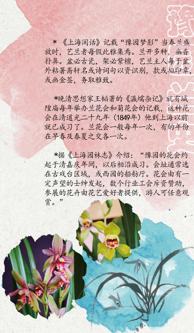 豫园兰史（640）.jpg