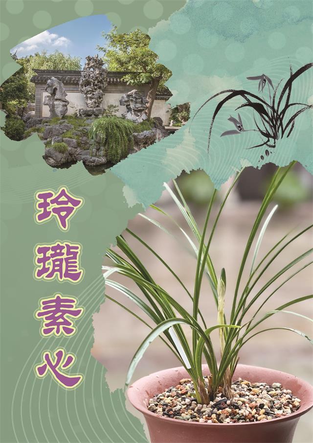 玲珑素心（640）.jpg