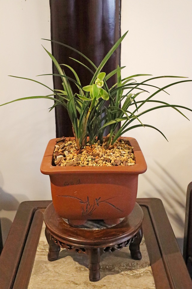 158A8528（修）.JPG