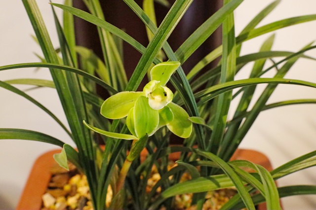 158A8529（修）.JPG