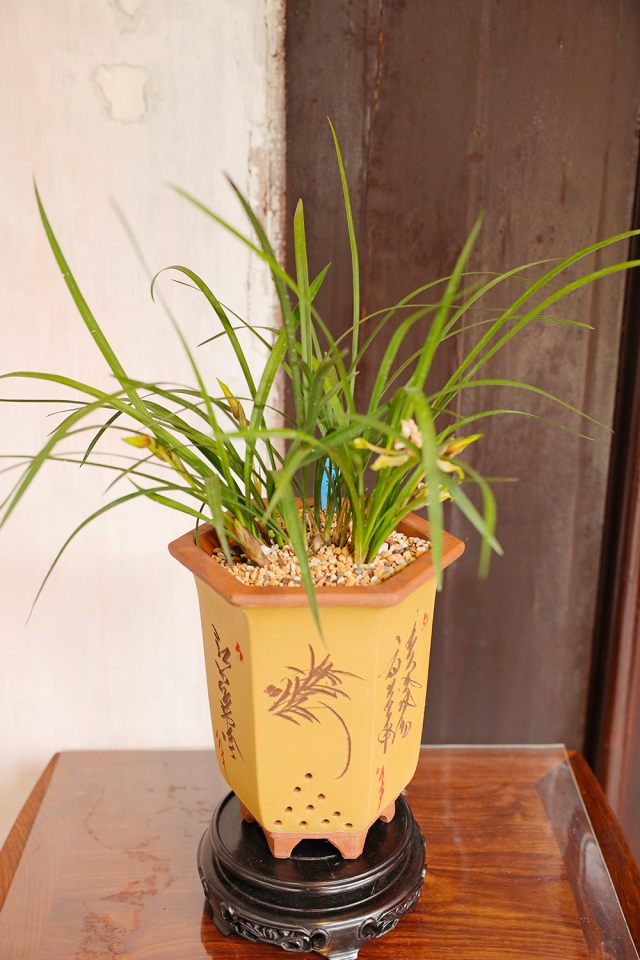158A8453（修）.JPG