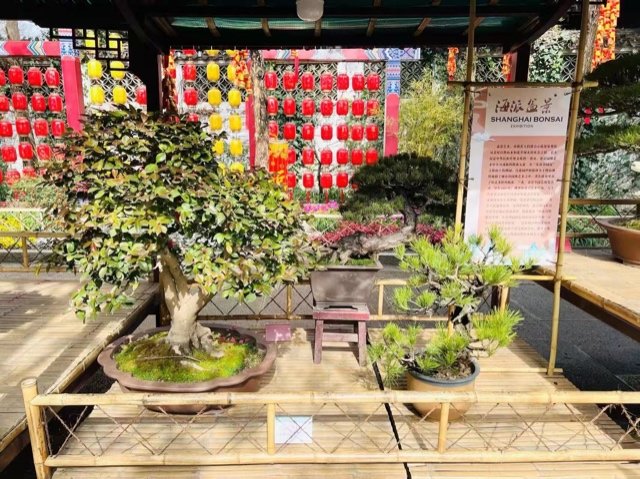 IMG_0720_gaitubao_640x479.JPG